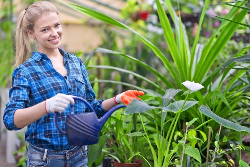 Professional landscapers working on a garden